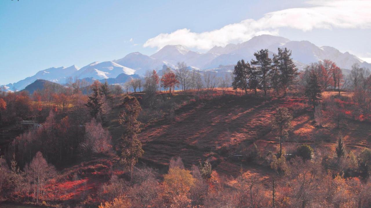 Pulieru - Picos De Europa Views, Designed For All Seasons Villa Cangas de Onis Exterior photo